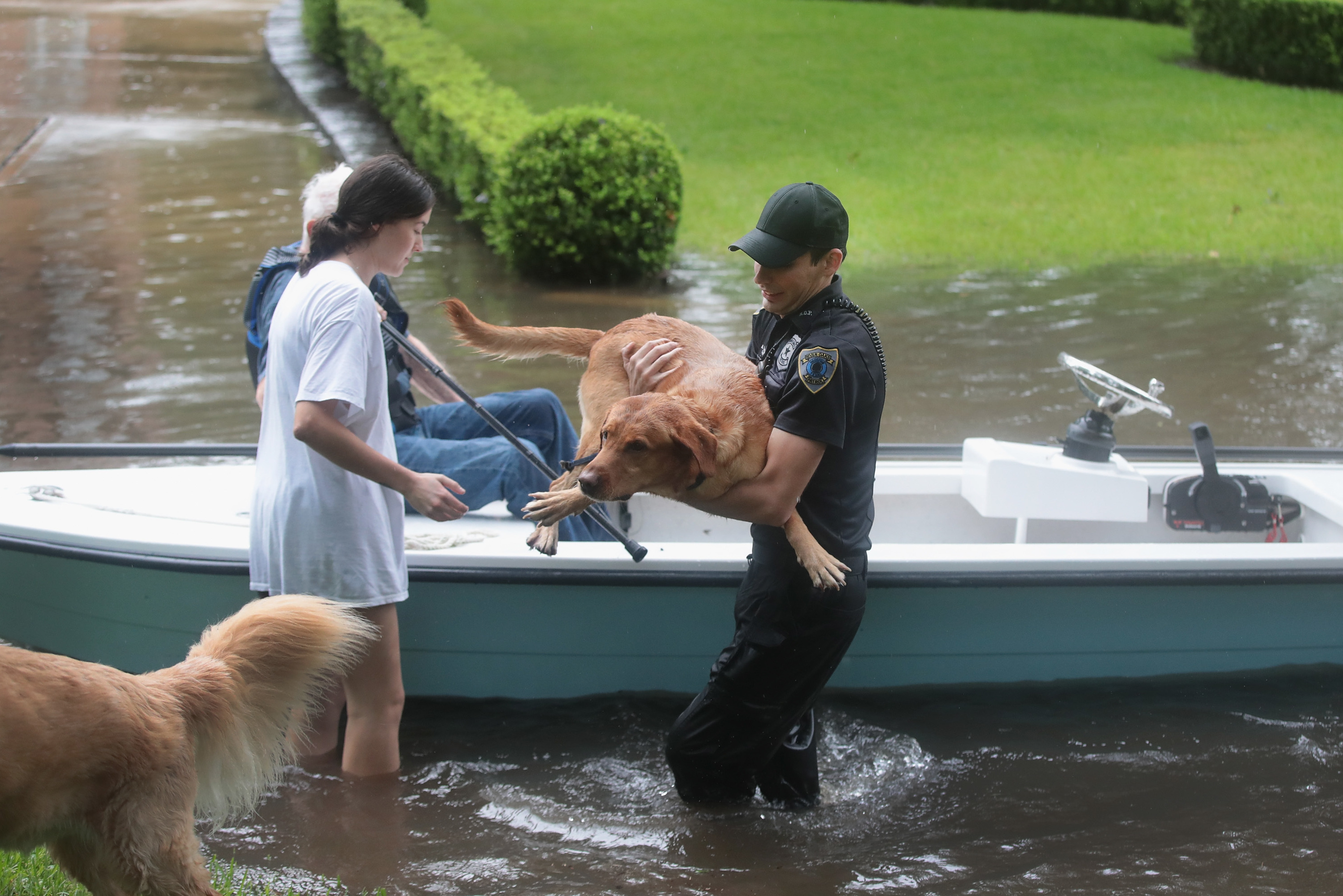 Volunteers and officers from the neighborhood security patrol help to rescue residents and their dogs in the River Oaks neighborhood after it was inundated with flooding from Hurricane Harvey in Houston, Texas. (Getty Images)
