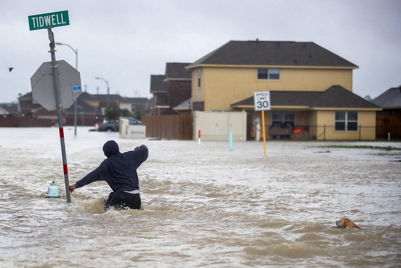 A person and a dog make their way through a flooded street in Houston after the area was inundated with flooding from Harvey, which has been downgraded from a hurricane to a tropical storm. (Joe Raedle/Getty Images)