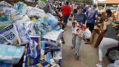 When Nature Teaches Us How To Be Human