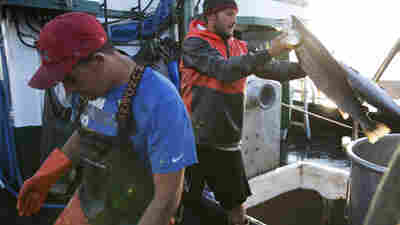 Salmon Fisher: Spill Is Dangerous And 'We Shouldn't Have To Deal With It'