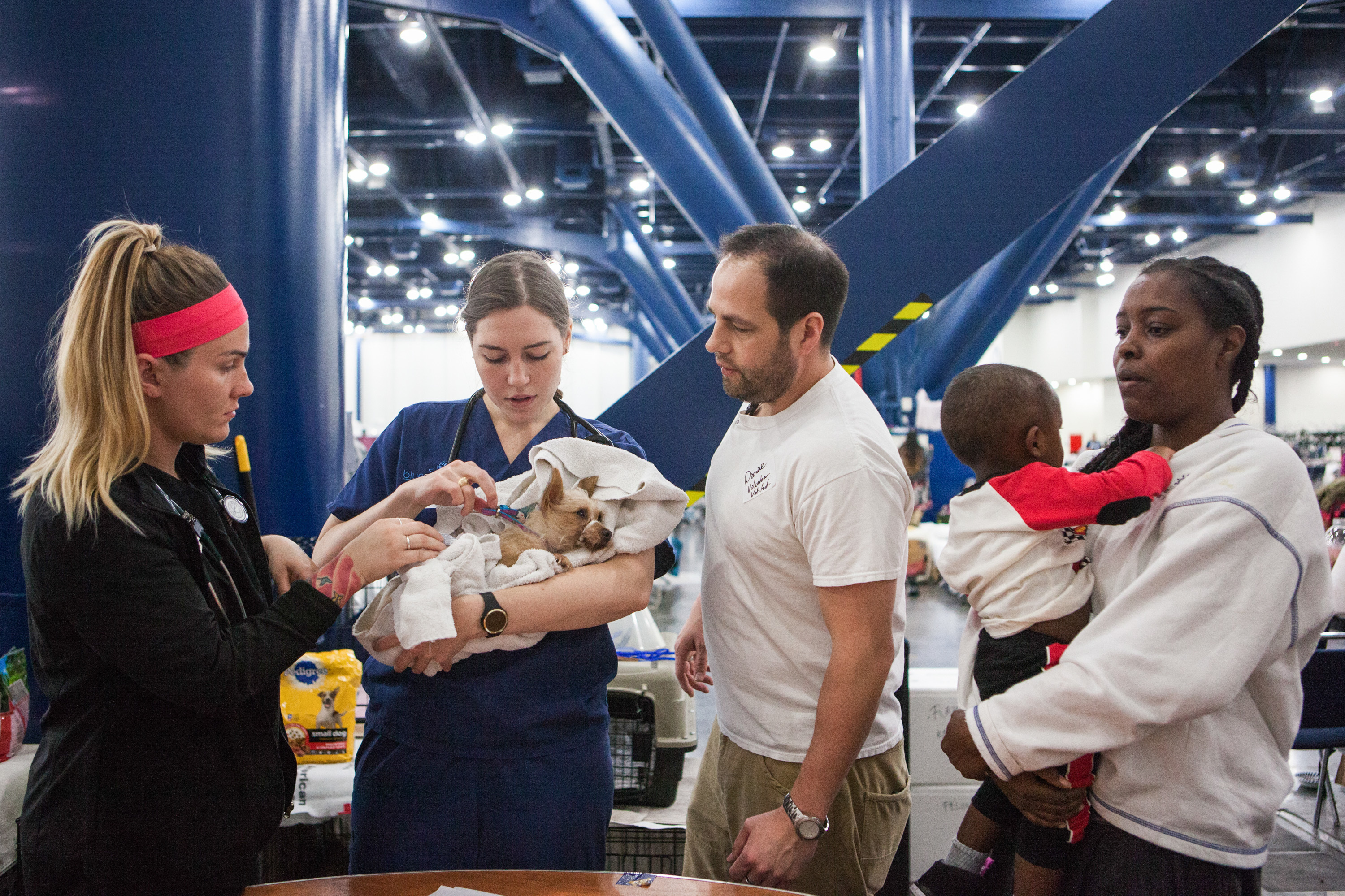Corinne Manley (left), veterinarian Kat Salcetti, Dominic Deluna, and dog mom Trochie Riley and her son watch as Salcetti takes off Momo's collar. Volunteer veterinarians and vet techs from Houston clinics were treating injuries, giving out warm towels to the soaking wet animals, and cleaning and disinfecting them from the dirty water. (NPR)