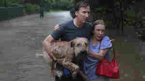 A Bipartisan Bill Helped Save Pets From Harvey, And Maybe Their Humans Too