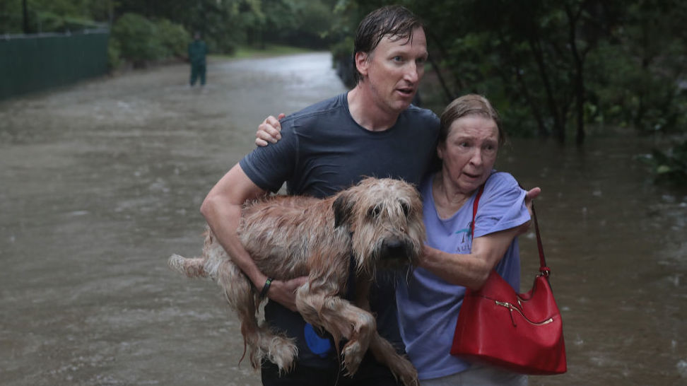 Andrew White helps a neighbor — and a dog — get to safety after their street was flooded by Hurricane Harvey. (Getty Images)