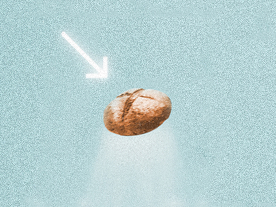 'Sourdough' rises like a good loaf