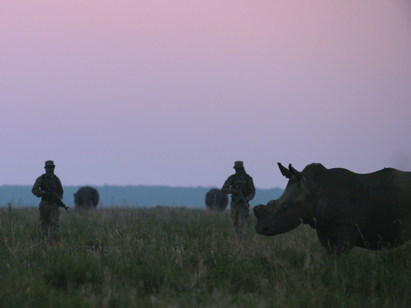 An armed private security team patrols amongst some of John Hume's 1,500 rhinos at Buffalo Dream Ranch, North West Province, South Africa in April 2016. The image is a still from <em>Trophy</em>, directed by Shaul Schwarz and co-directed by Christina Clusiau. (Courtesy of Shaul Schwarz/Reel Peak Films.)