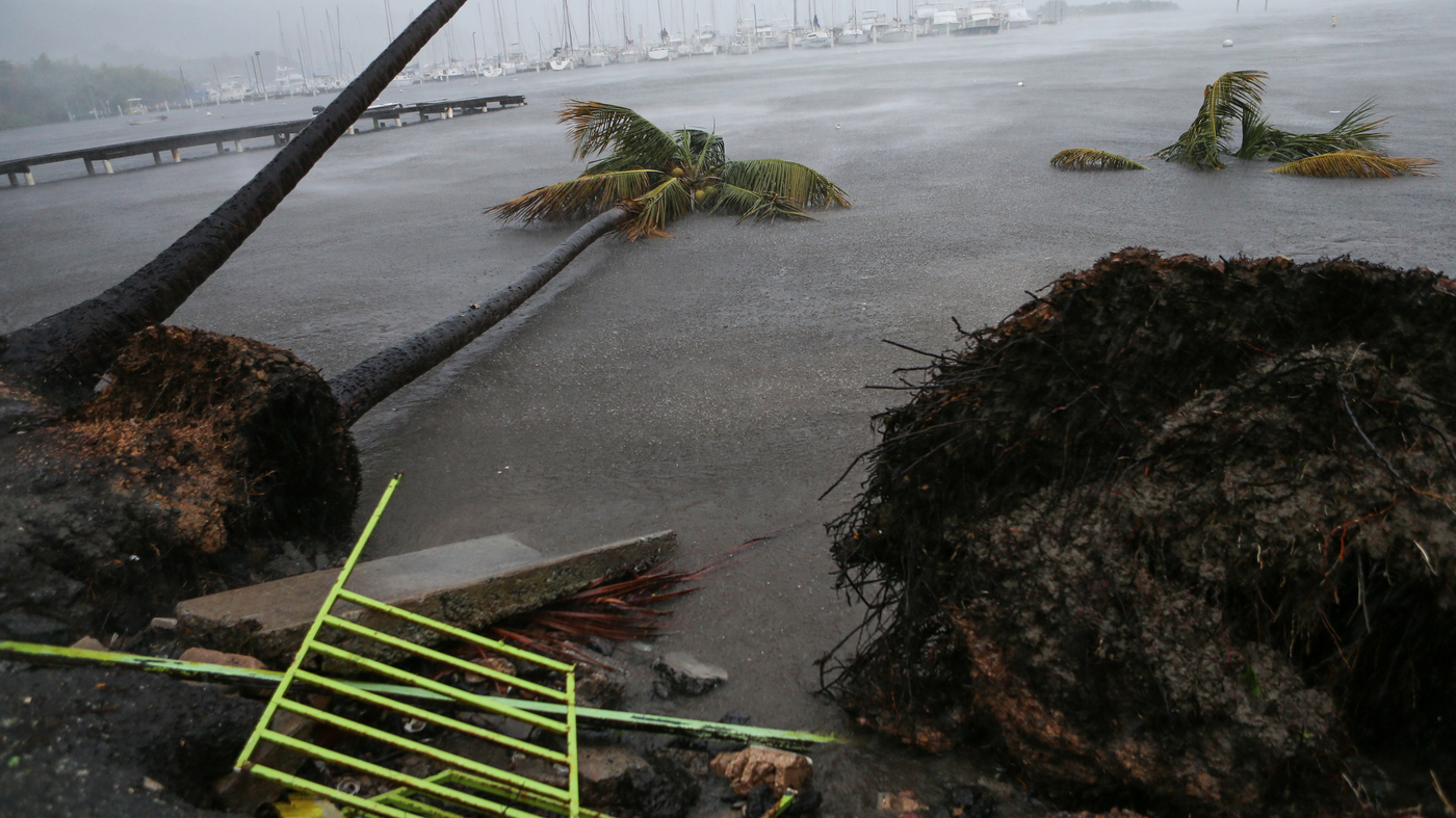 Hurricane Irma Leaves Devastation Of 'Epic Proportions' In Caribbean ...