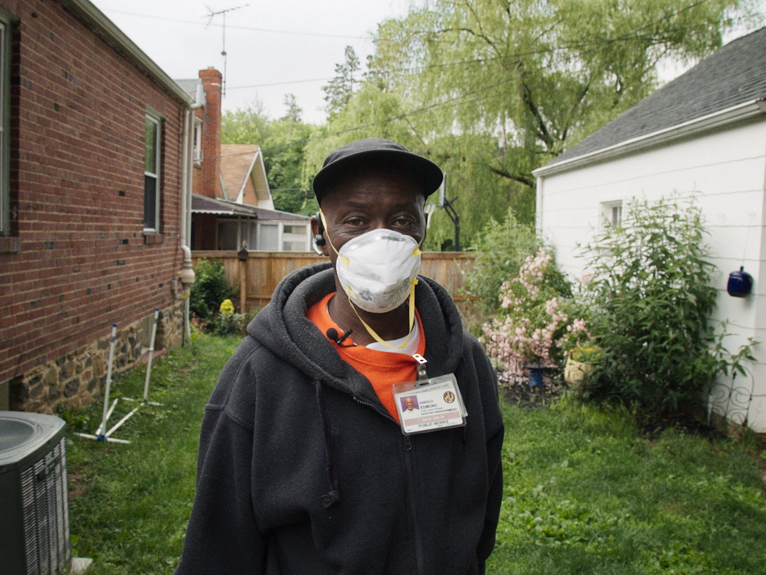 'Rat Film': Superb, Formally Inventive Documentary Smells A Rat — And It Is Us