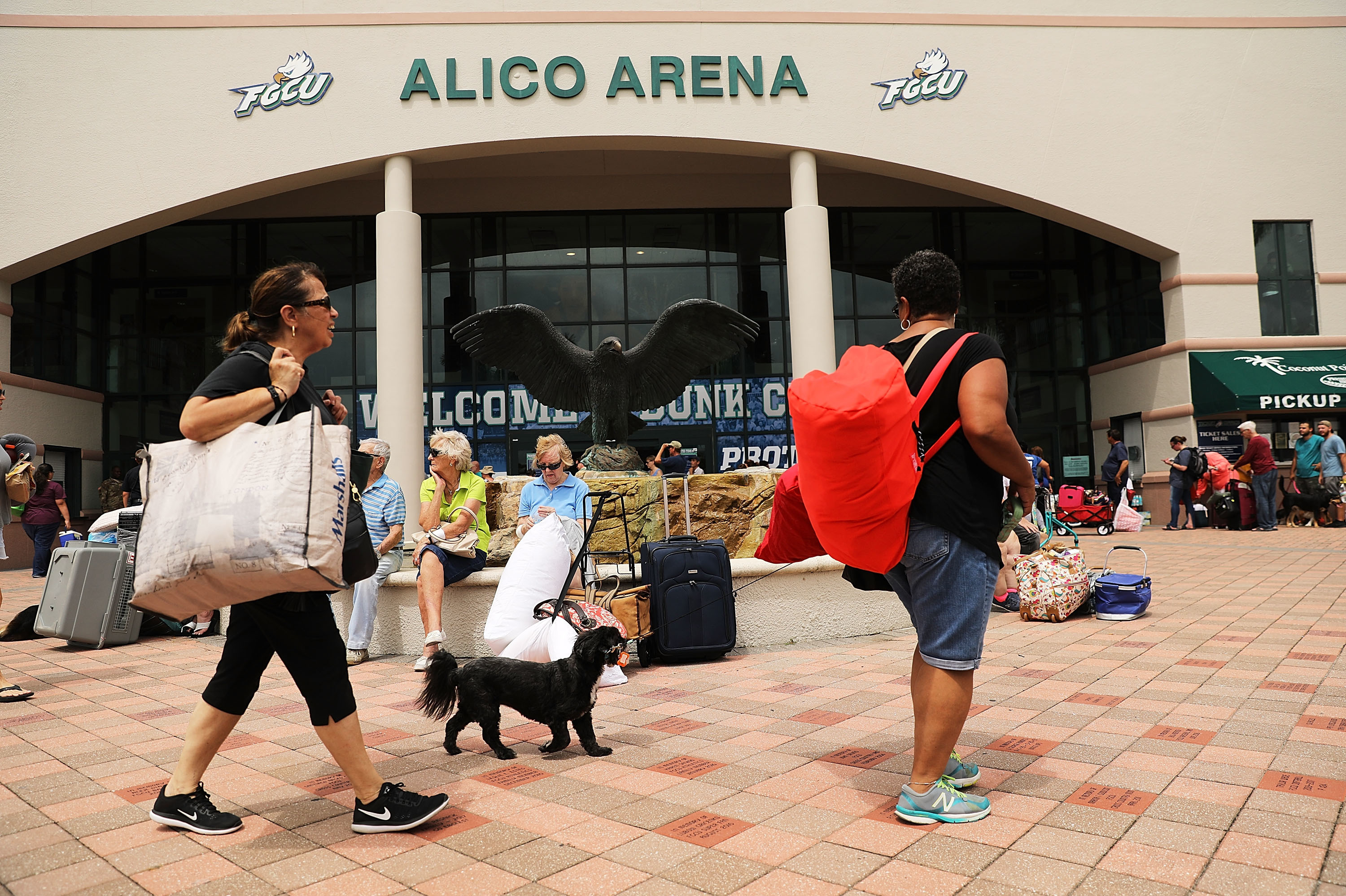 People arrive, many with their pets, at Alico Arena which is shelter thousands of Floridians hoping to ride out Hurricane Irma in Fort Myers, Fla., on Saturday.