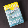 The Pleasures Of Story Get Lost In This 'Forest Dark'