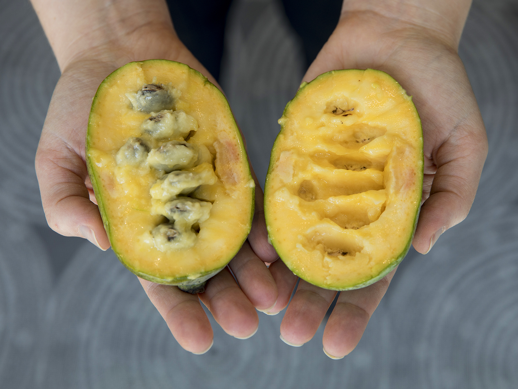 This OnceObscure Fruit Is On Its Way To PawPawPawpular