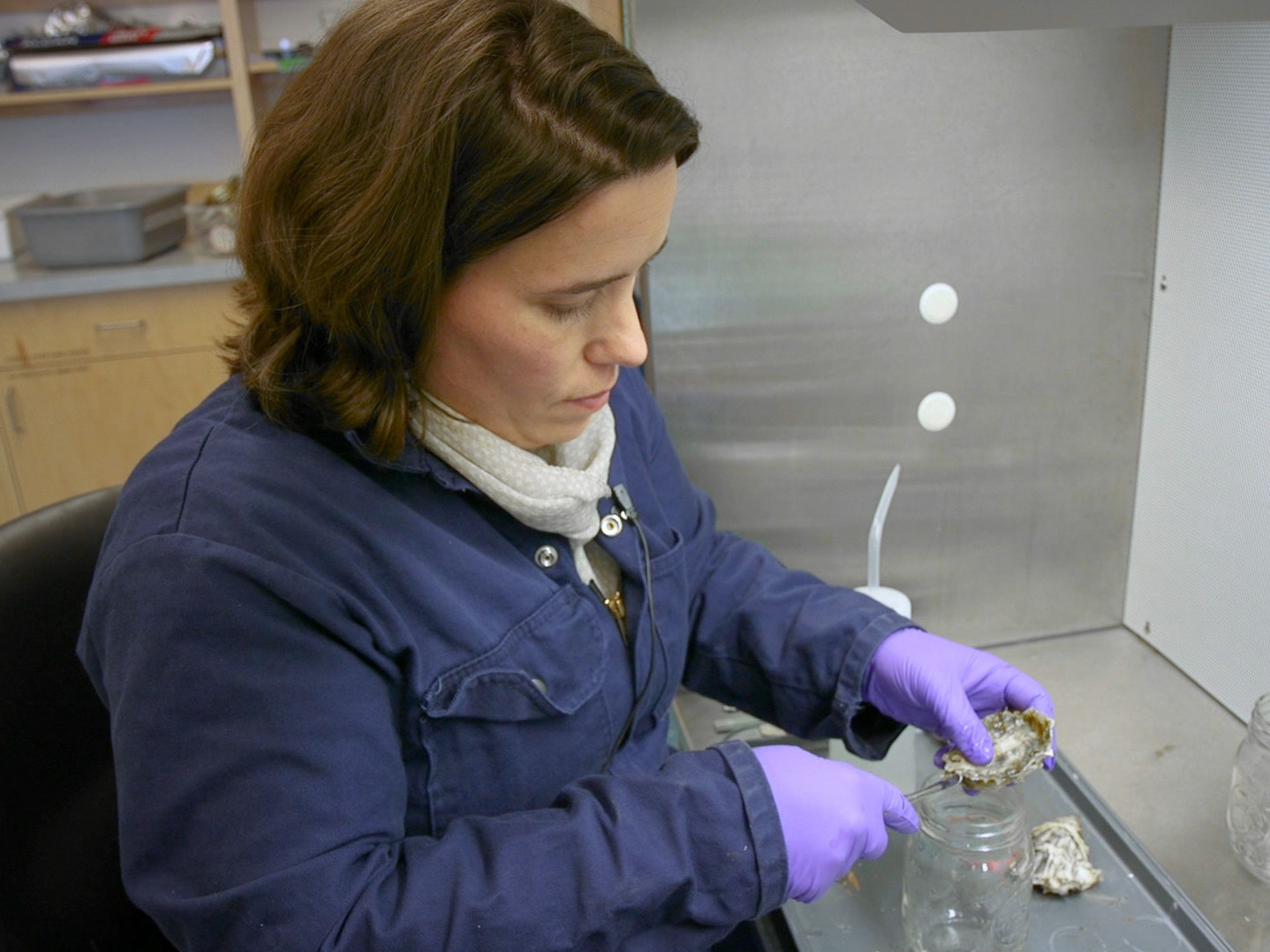 Guess What's Showing Up In Our Shellfish? One Word Plastics NCPR News