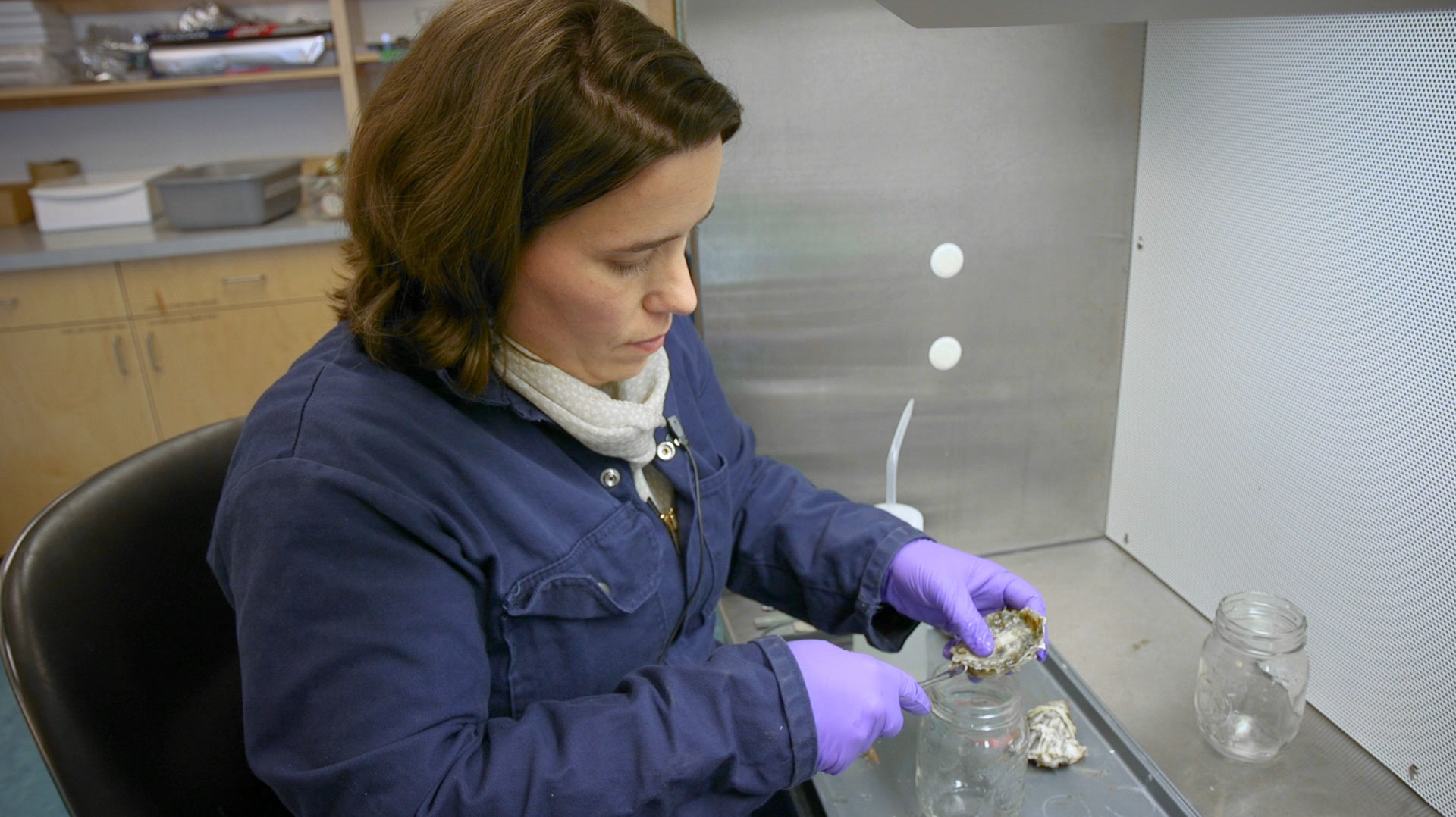 Shellfish biologist Sarah Dudas works with an oyster specimen at her Vancouver Island University lab. (KCTS Television)