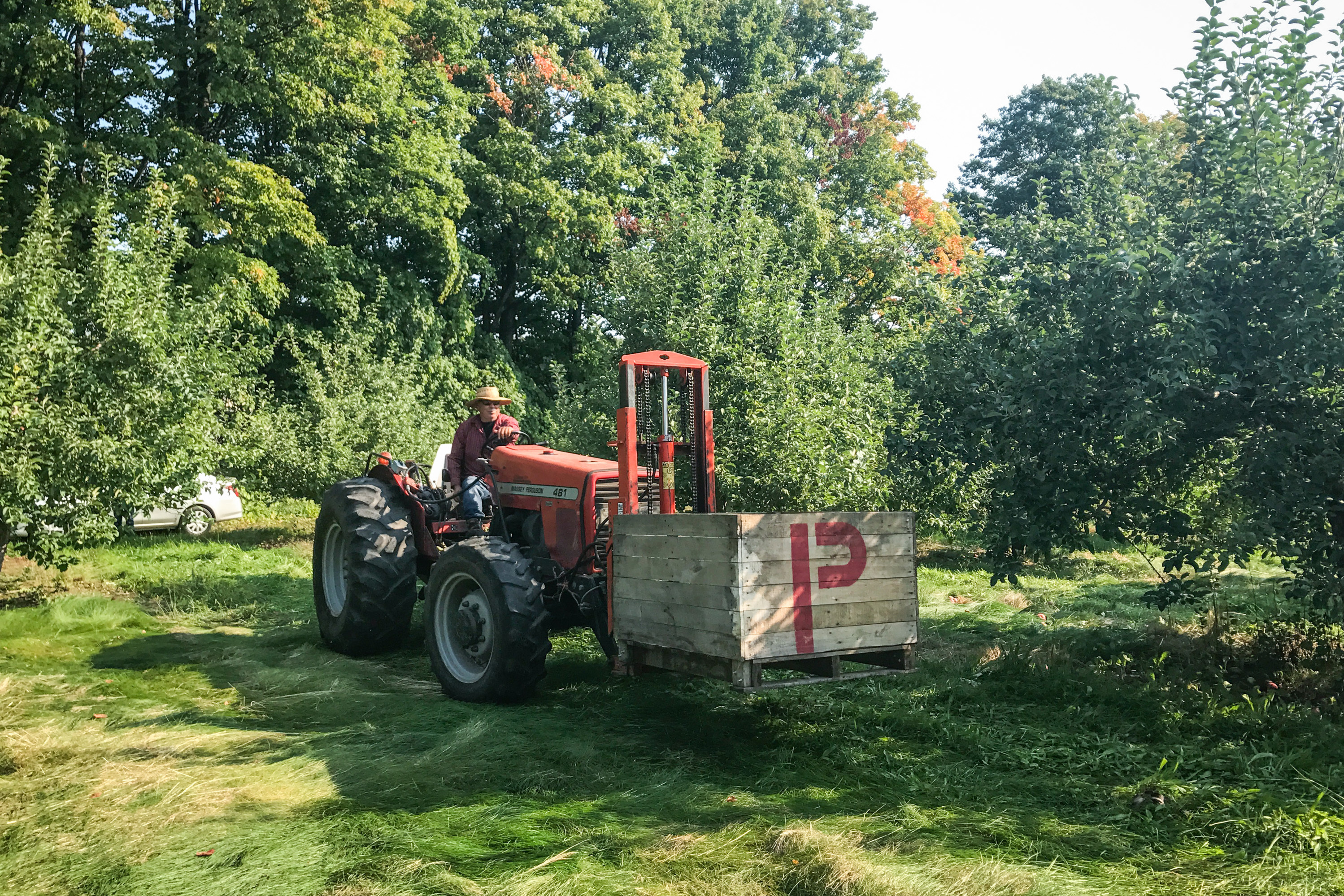 As in the rest of the country, growers in heavily agricultural northern Michigan rely overwhelmingly on migrant laborers to work the fields and orchards. Most of the pickers are from Mexico. Growers say it's just about impossible to find Americans to do this work. (NPR)