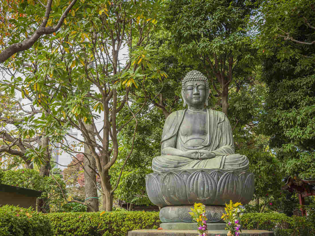 In his new book, Robert Wright wants to focus on Buddhism's diagnosis of the human condition, as opposed to the traditional aspects of Buddhism as a religion.