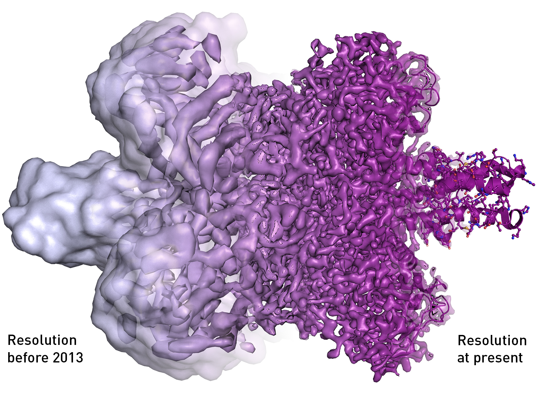 An illustration provided by the Royal Swedish Academy of Sciences shows the dramatic gain in resolution that came with the development of cryo-electron microscopy. What had been seen as blobs can now be distinguished as proteins in atomic resolution. (Royal Swedish Academy of Sciences)