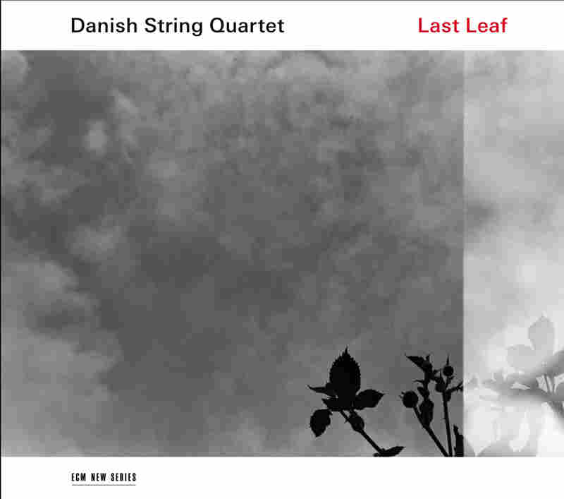 Last leaf