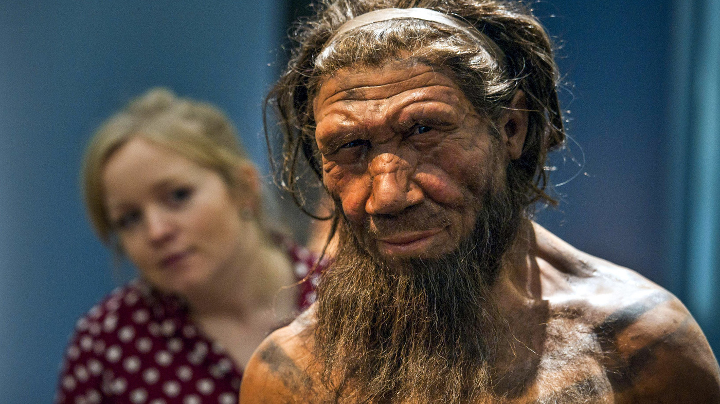 b-neanderthal-genes-help-shape-how-many-modern-humans-look