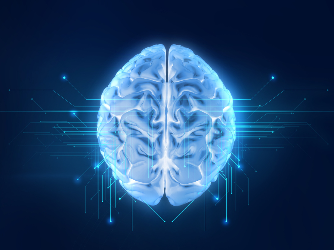 What drives some people to take personal risks to help strangers?