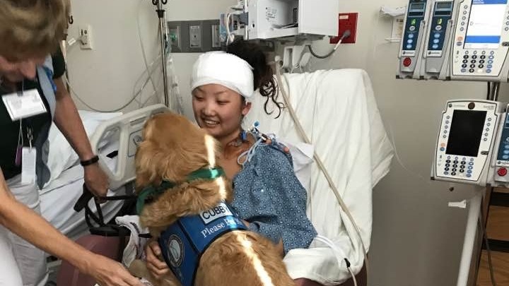 Fellow concertgoers helped get Elle Gargano over the fence and out of the festival grounds after she was wounded last Sunday. (Courtesy Gargano Family)