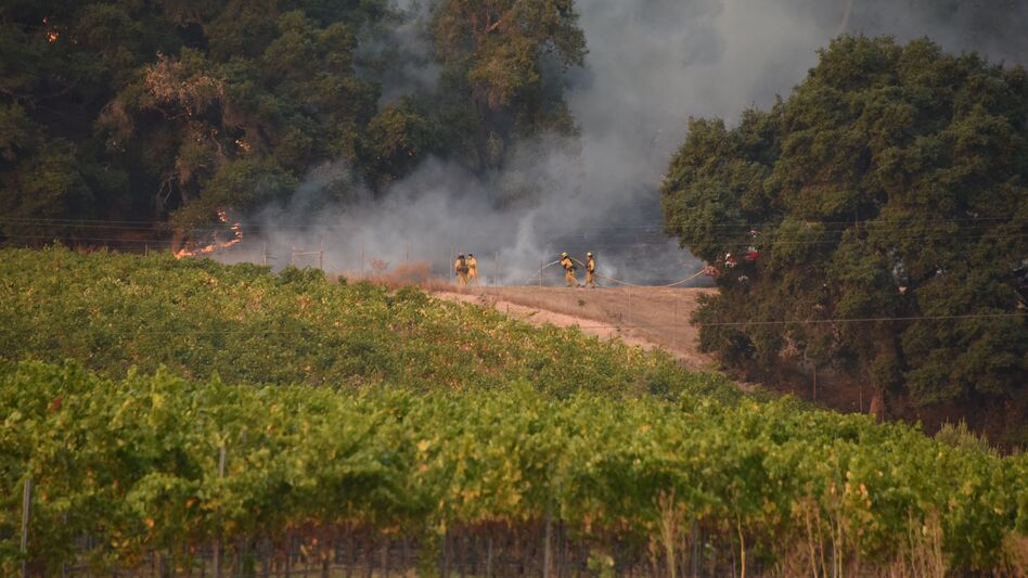 Firefighters protect a vineyard in Santa Rosa, Calif., on Wednesday. (Robyn Beck/AFP/Getty Images)