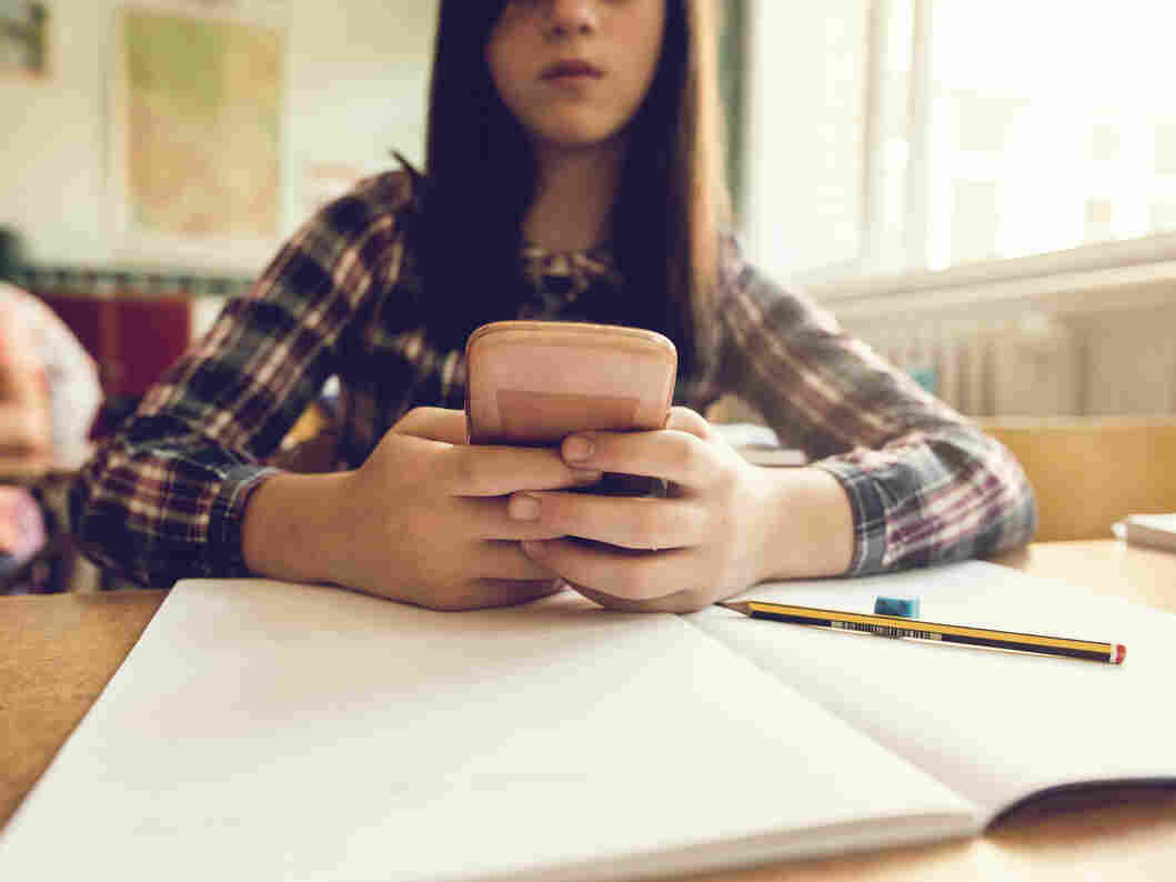 Barbara J. King explores the use of personal technology in the classroom.