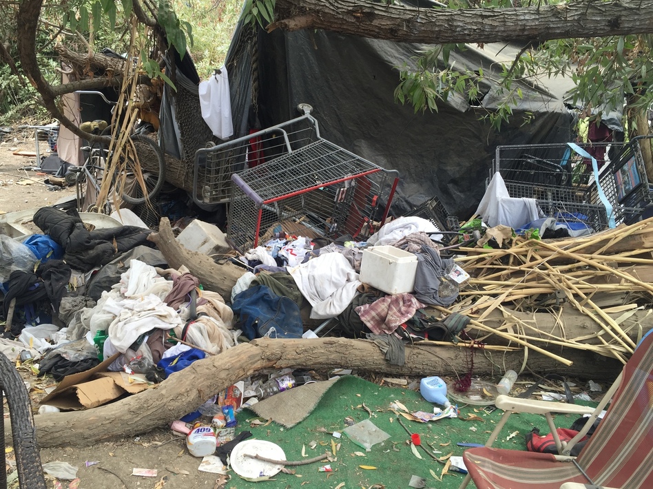 The latest homeless count showed a 64 percent increase in the number of 18- to 24-year-olds on the streets over last year. Authorities are better at counting them but the problem is also getting worse. (Anna Scott/KCRW)