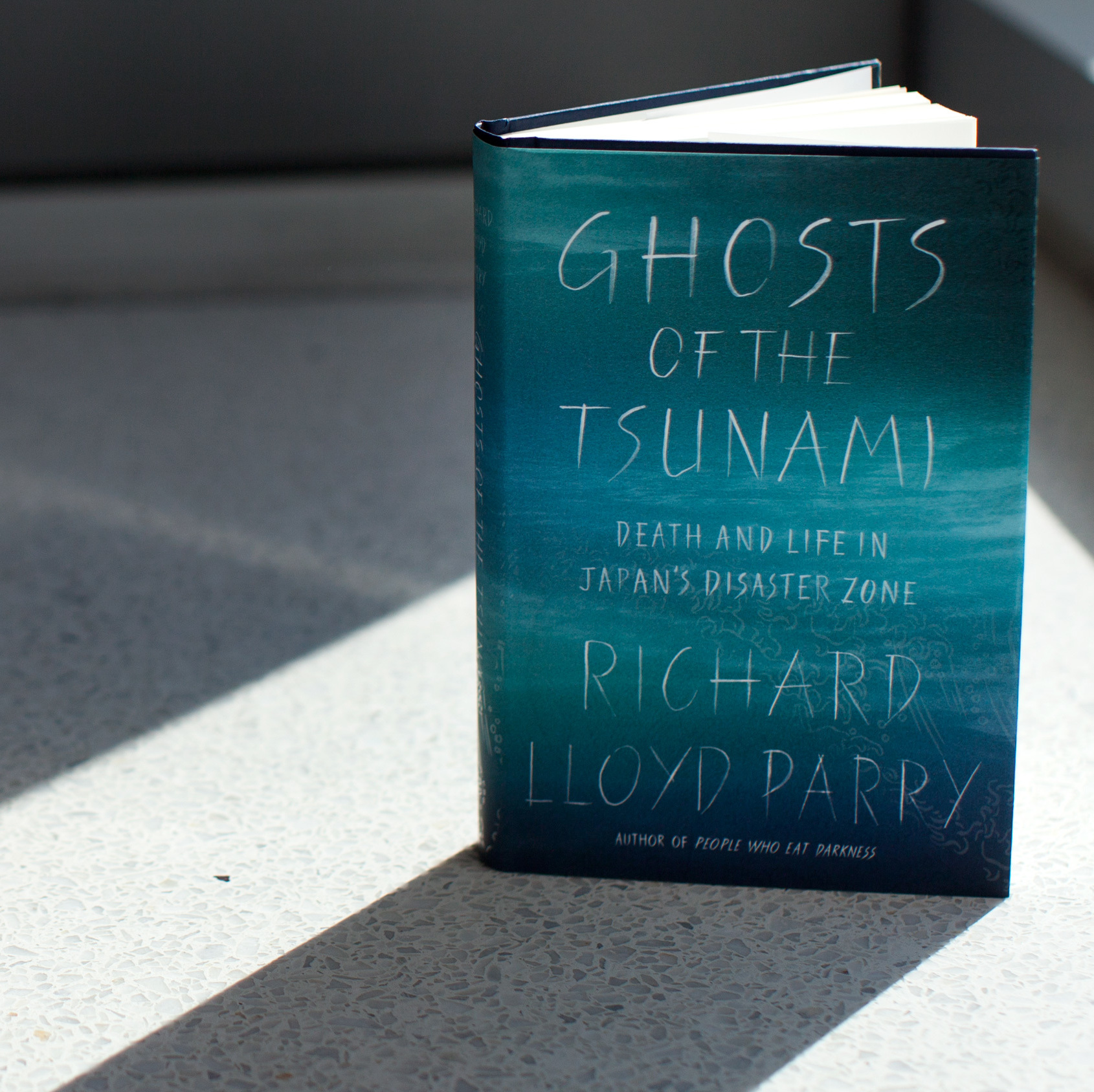 'Ghosts Of The Tsunami' Examines The Disaster That Haunts Japan