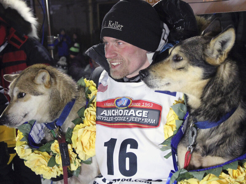 Iditarod Names Four Time Champ Dallas Seavey In Dog Doping Scandal Iditarod Names Four Time Champ Dallas Seavey In Dog Doping Scandal