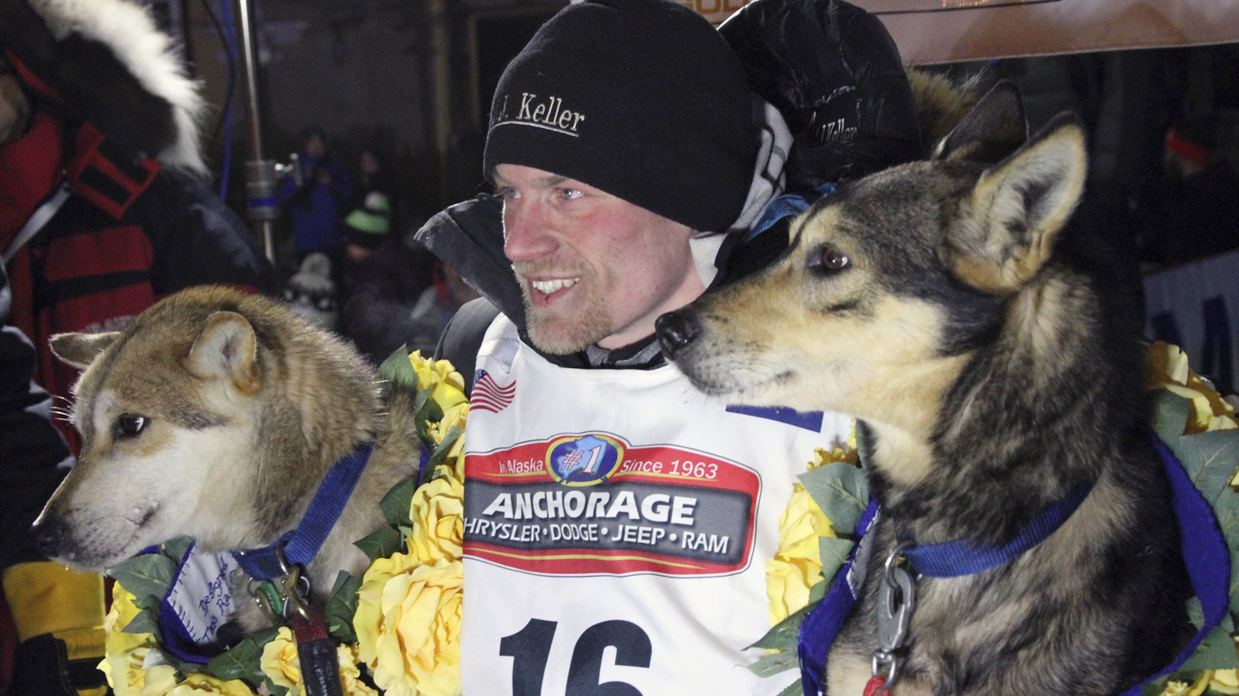 Iditarod Names Four Time Champ Dallas Seavey In Dog Doping Scandal Iditarod Names Four Time Champ Dallas Seavey In Dog Doping Scandal The Two Way Npr