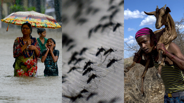 Monsoon rains flooded Mumbai in August 2017. Aedes aegypti mosquitoes can spread diseases like dengue fever. Drought has affected the health of Somalians.