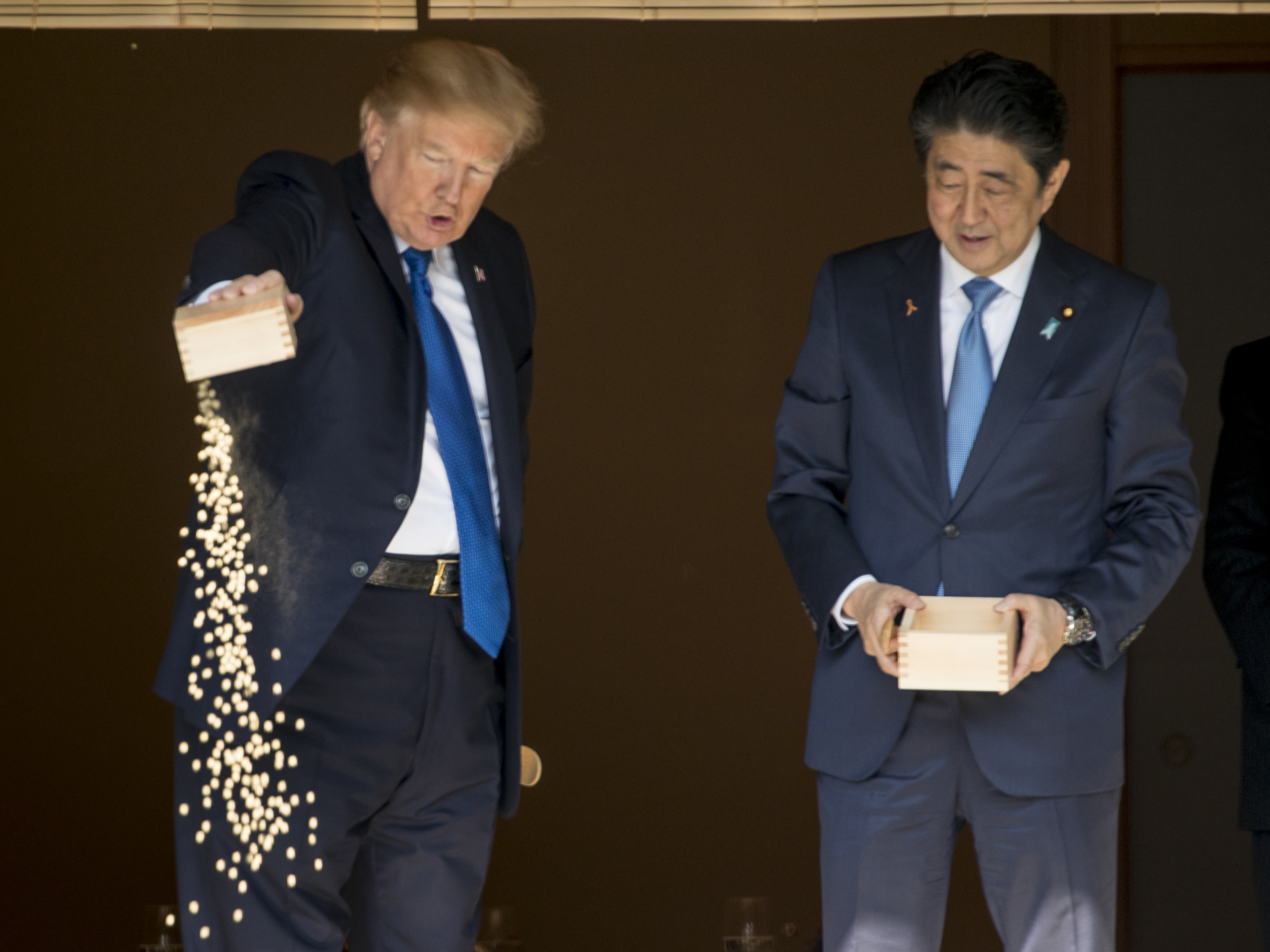 Don't Be Koi. There's Something Fishy About That Trump-Abe Photo