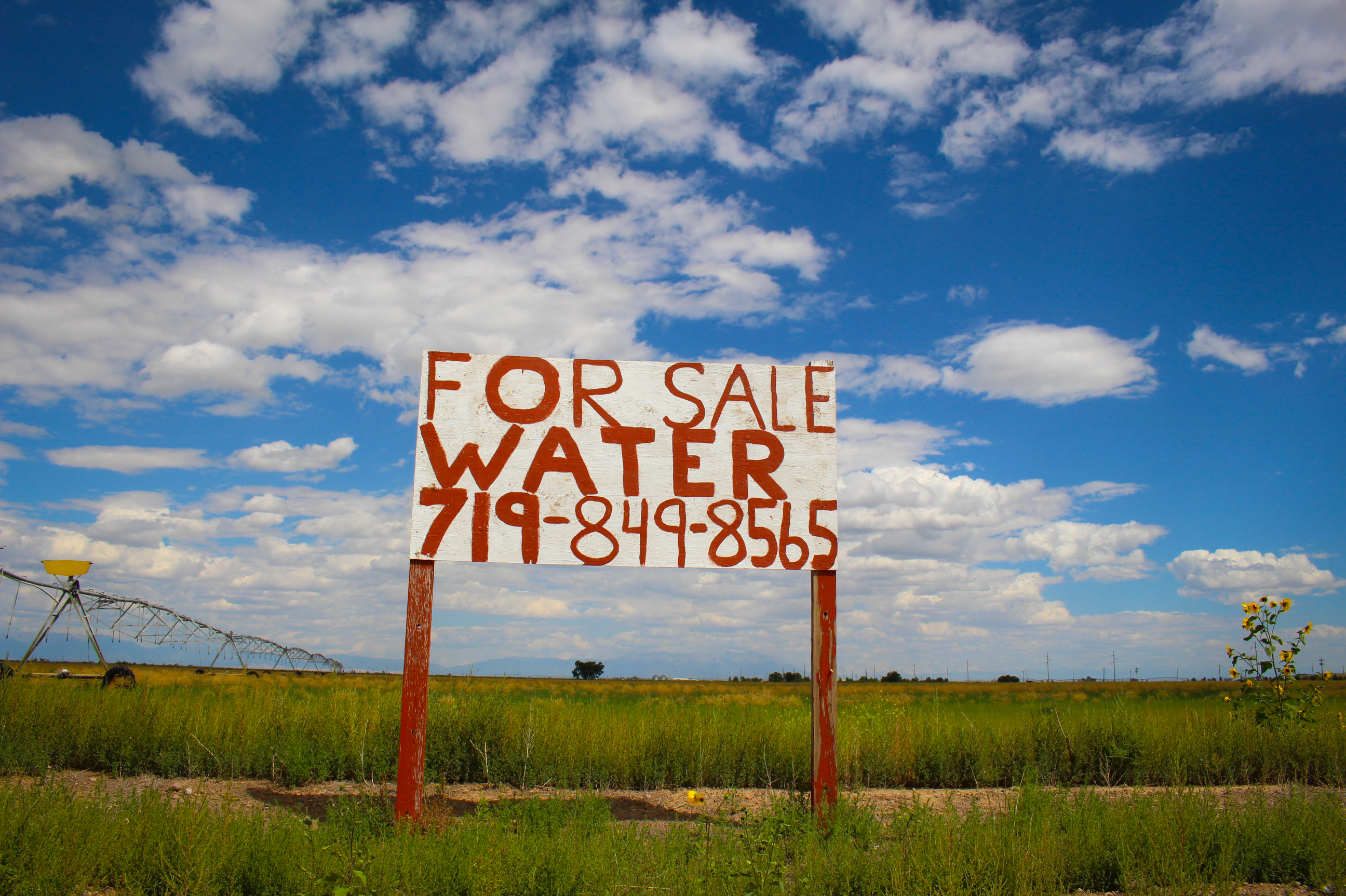 A sign advertising a water sale sits on a farm outside Del Norte, Colorado. (Luke Runyon/KUNC)