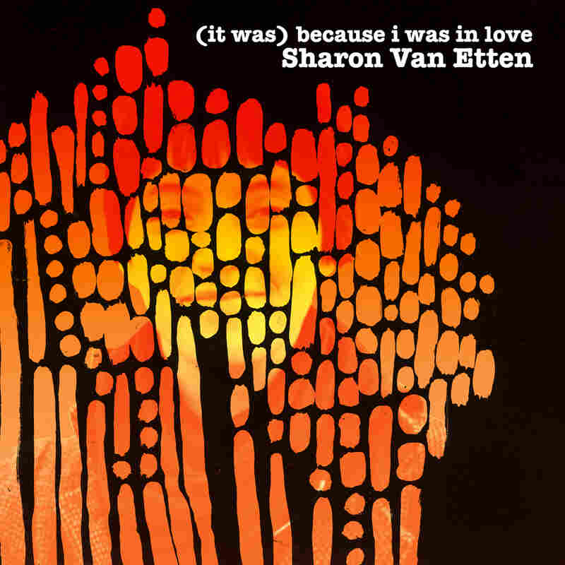 Sharon Van Etten, (it was) because i was in love