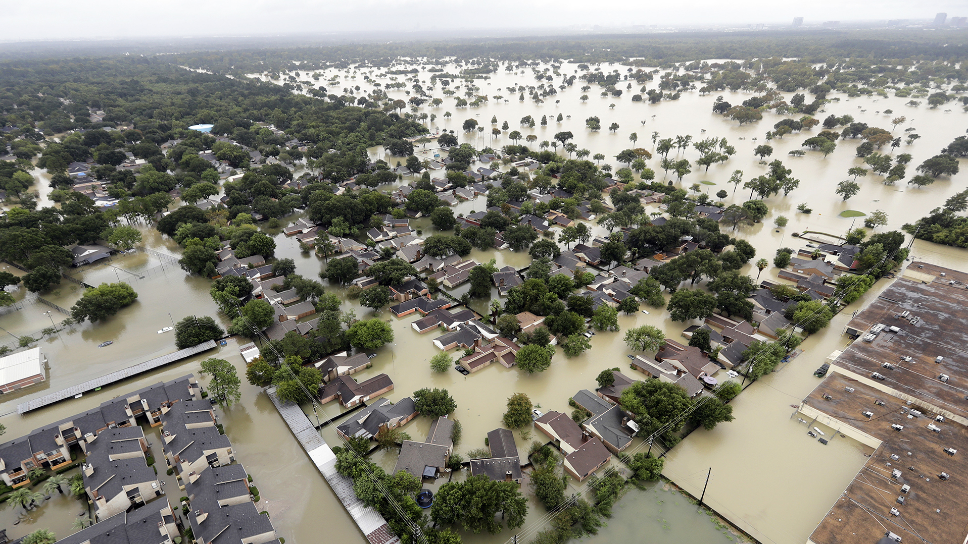 Houston's Poor Planning And Breakneck Growth Played Big Roles In