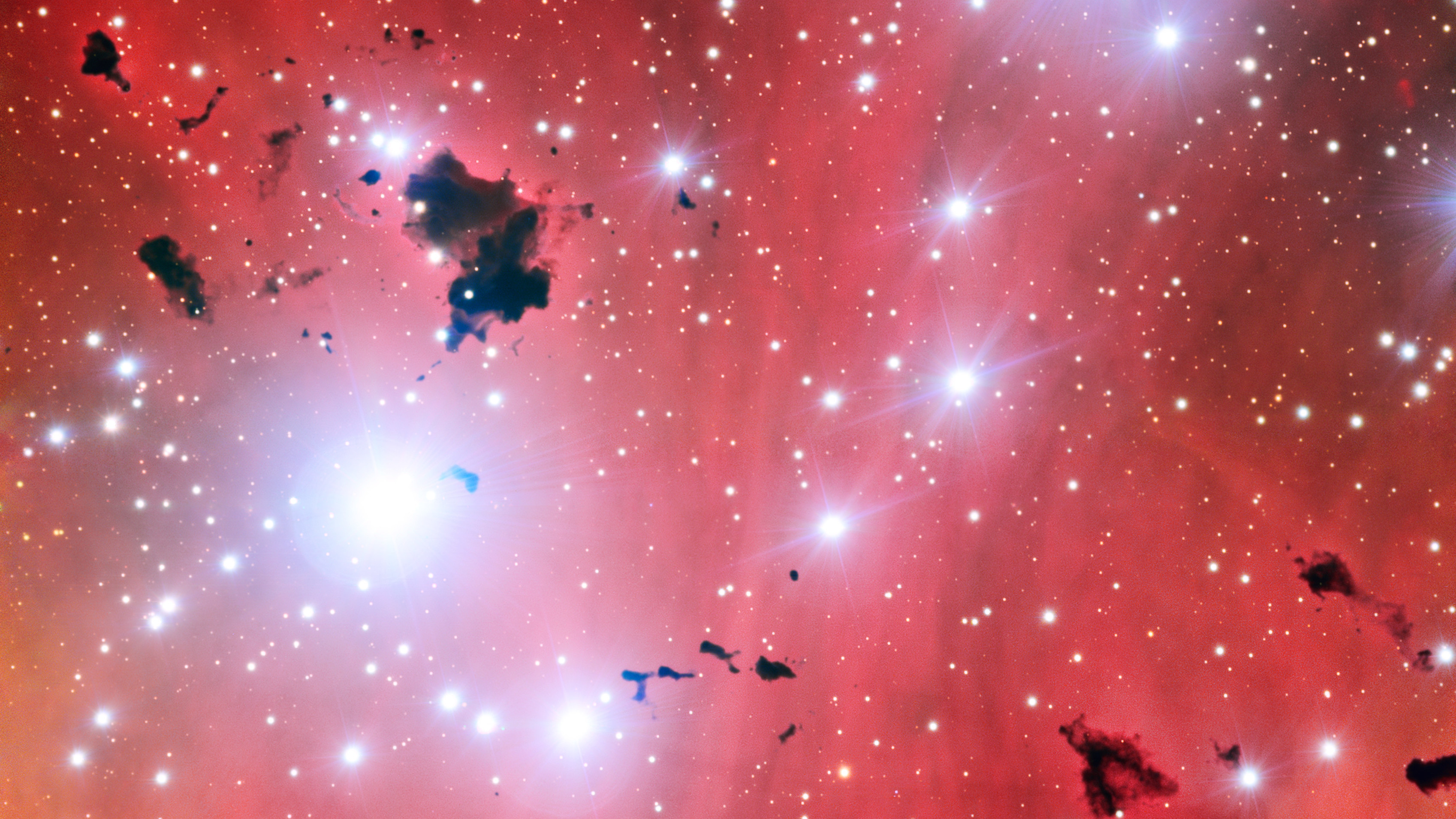 This view of a stellar nursery taken by the Very Large Telescope on May 23, 2013, also shows a group of thick clouds of dust known as the Thackeray globules silhouetted against the pale pink glowing gas of the nebula.