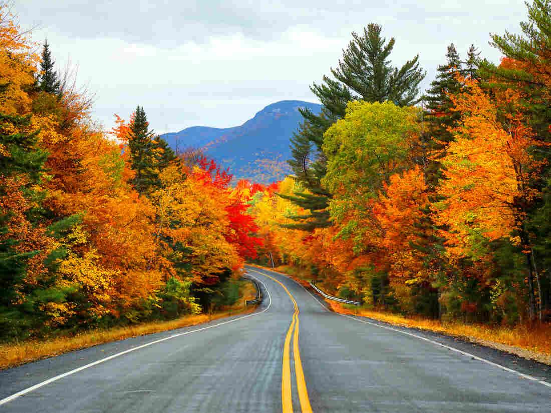 Fall colors as seen in the White Mountains of New Hampshire.