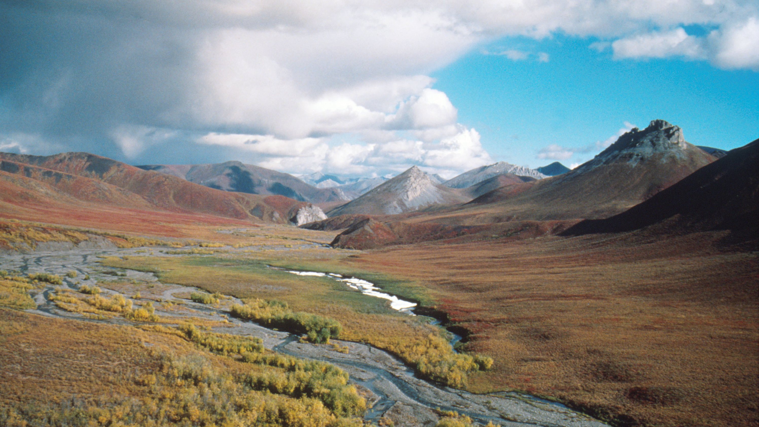 The Arctic National Wildlife Refuge in Alaska.