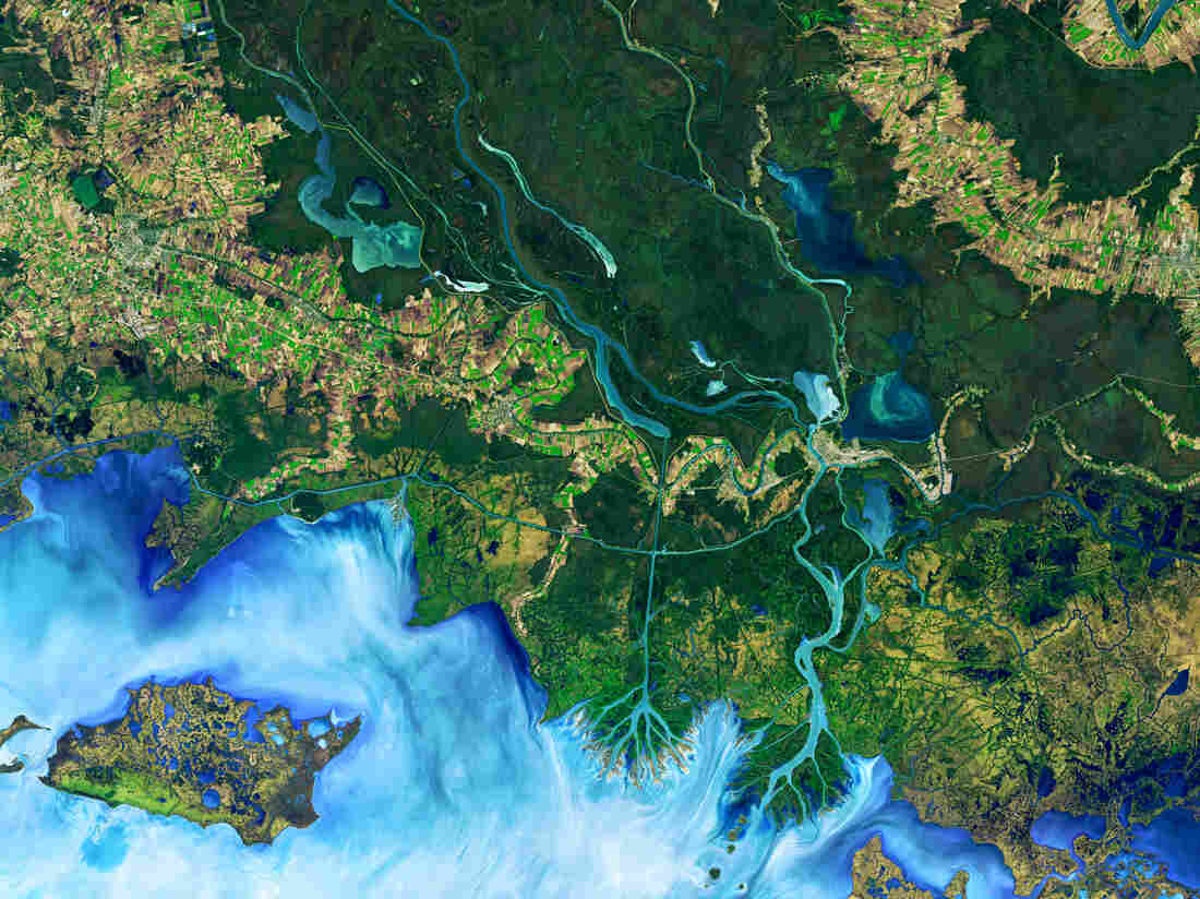 This false-color image, Operational Land Imager (OLI) on Landsat 8, shows the Atchafalaya Delta in Louisiana on Dec. 1, 2016. The colors emphasize the difference between land and water while allowing viewers to observe waterborne sediment, which is typically absent from false-color imagery.