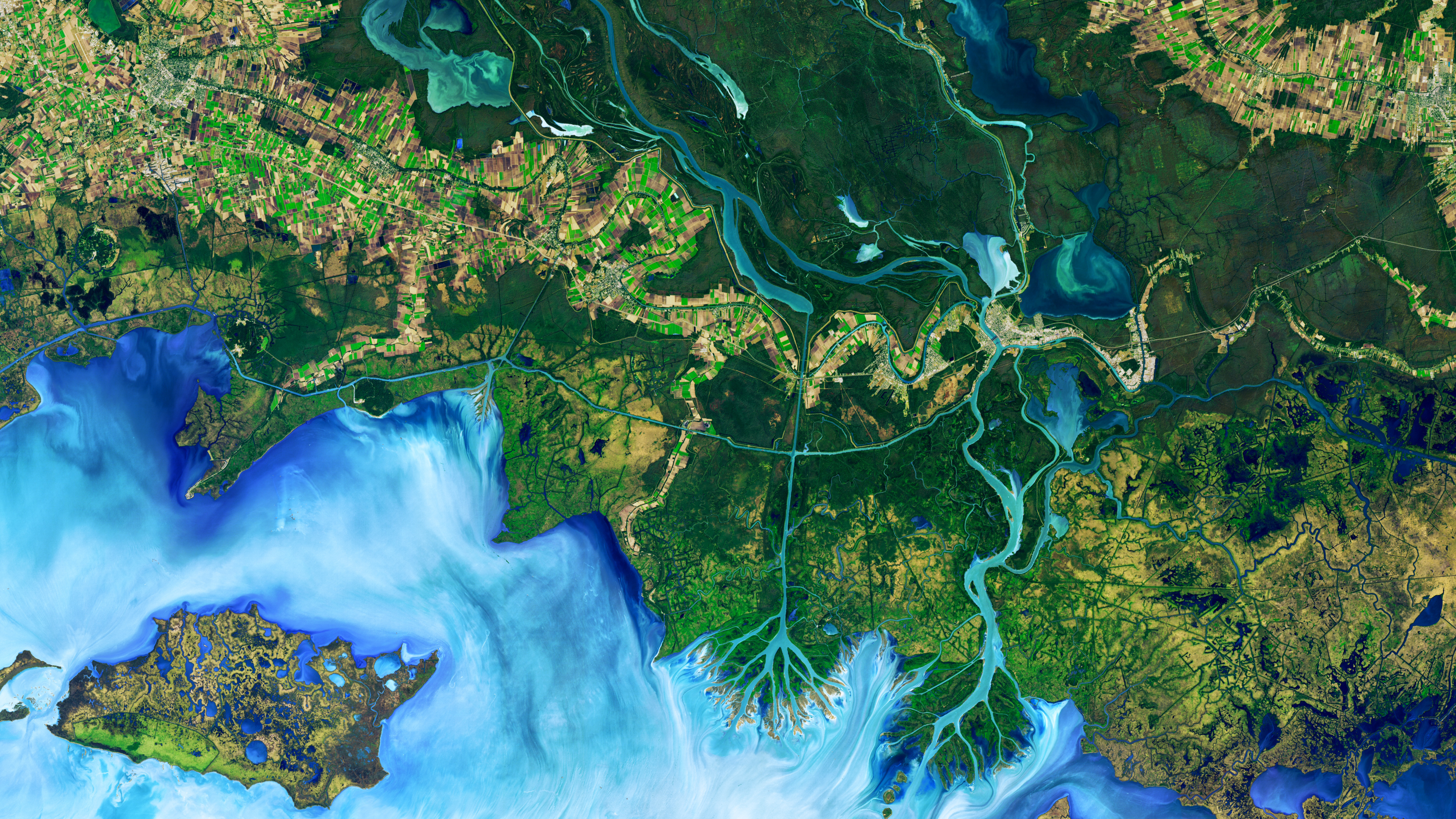 This false-color image, Operational Land Imager (OLI) on Landsat 8, shows the Atchafalaya Delta in Louisiana on Dec. 1, 2016. The colors emphasize the difference between land and water while allowing viewers to observe waterborne sediment, which is typically absent from false-color imagery.