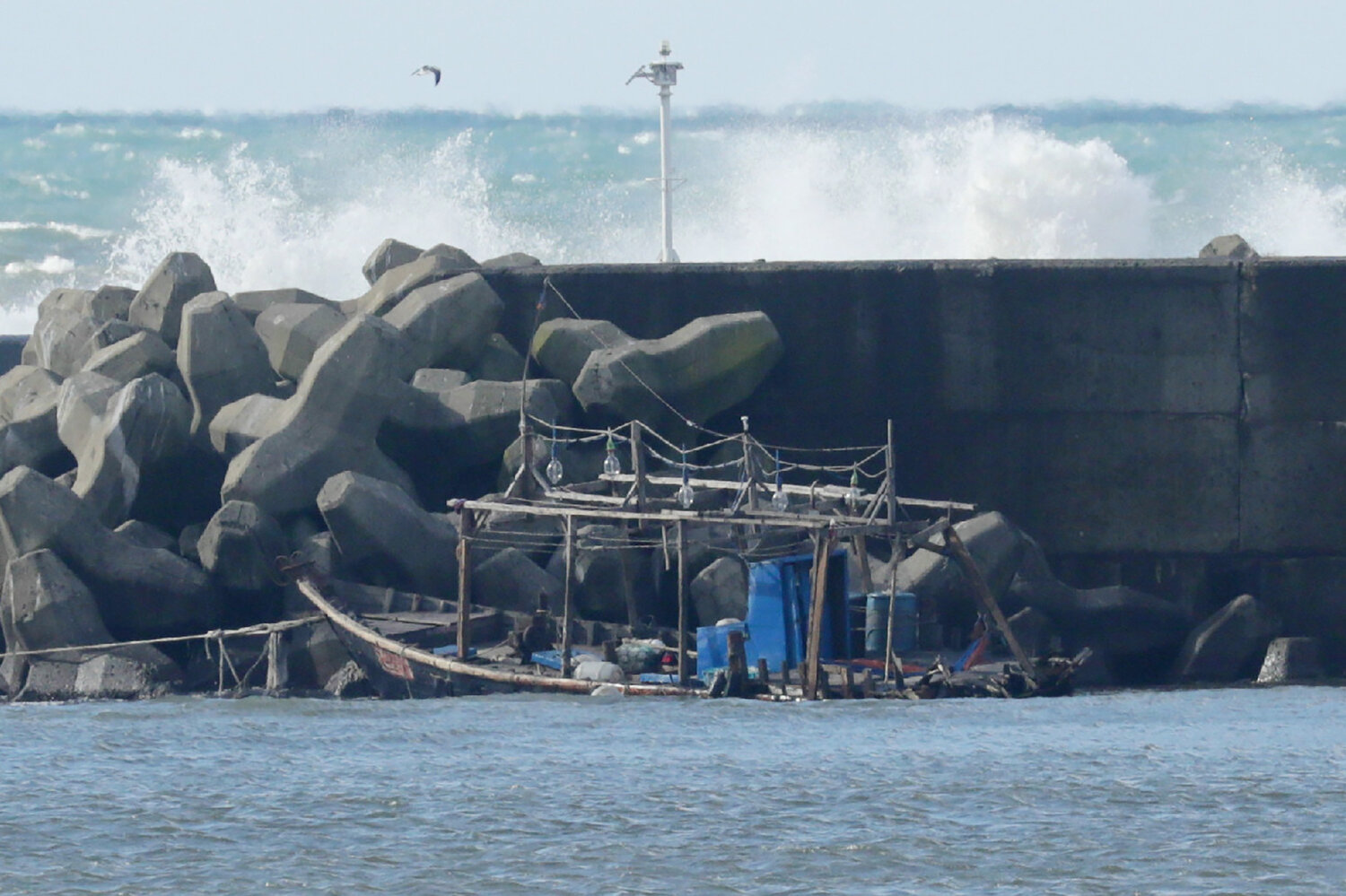 ‘Ghost Ships’ turn up along Japanese coast, likely from North Korea (npr.org)