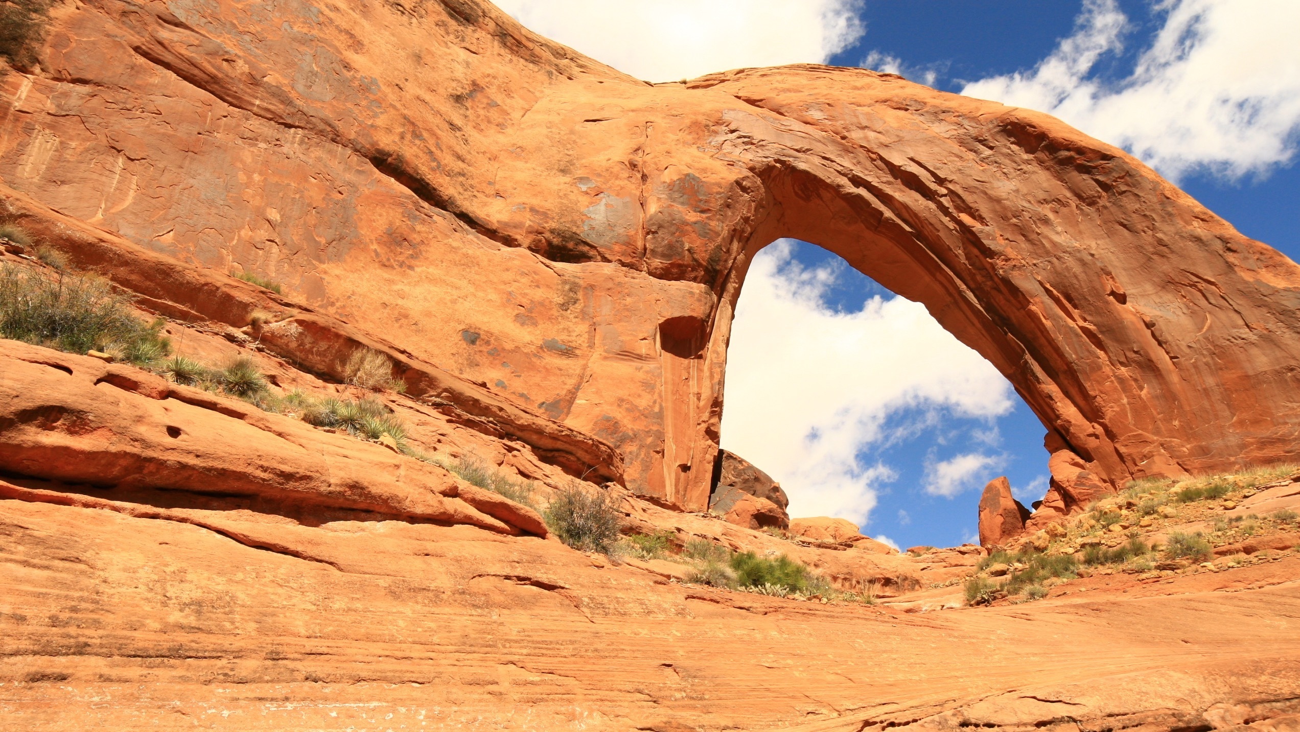 Trump Orders Largest National Monument Reduction In U.S. History