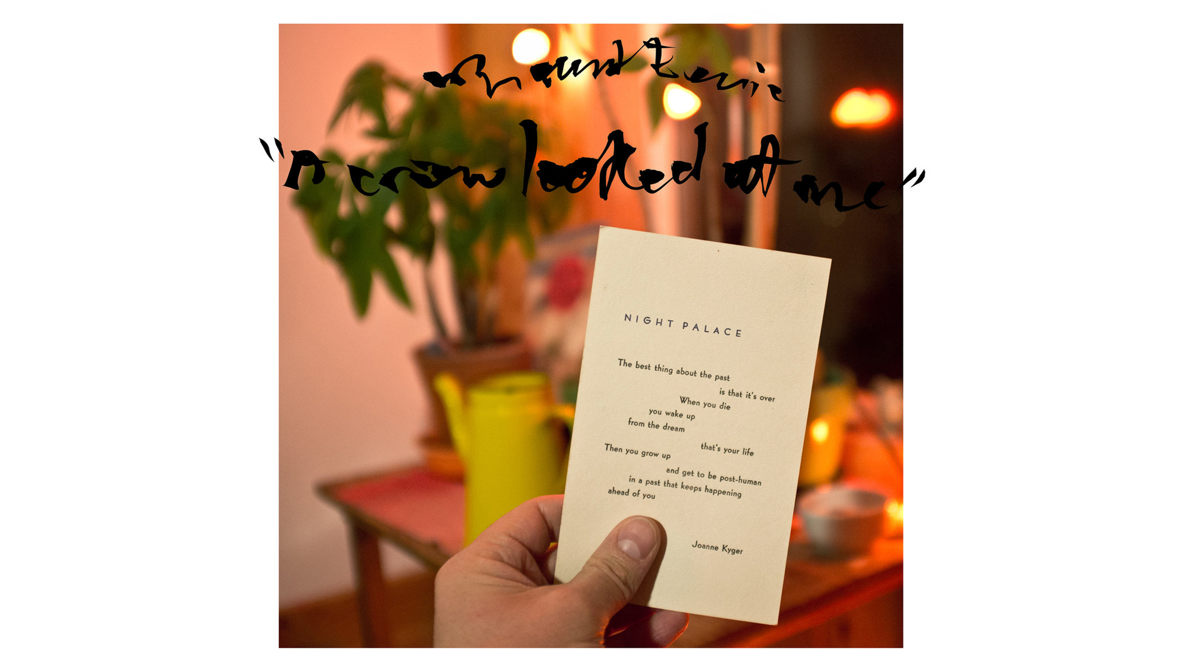 Mount Eerie, A Crow Looked At Me