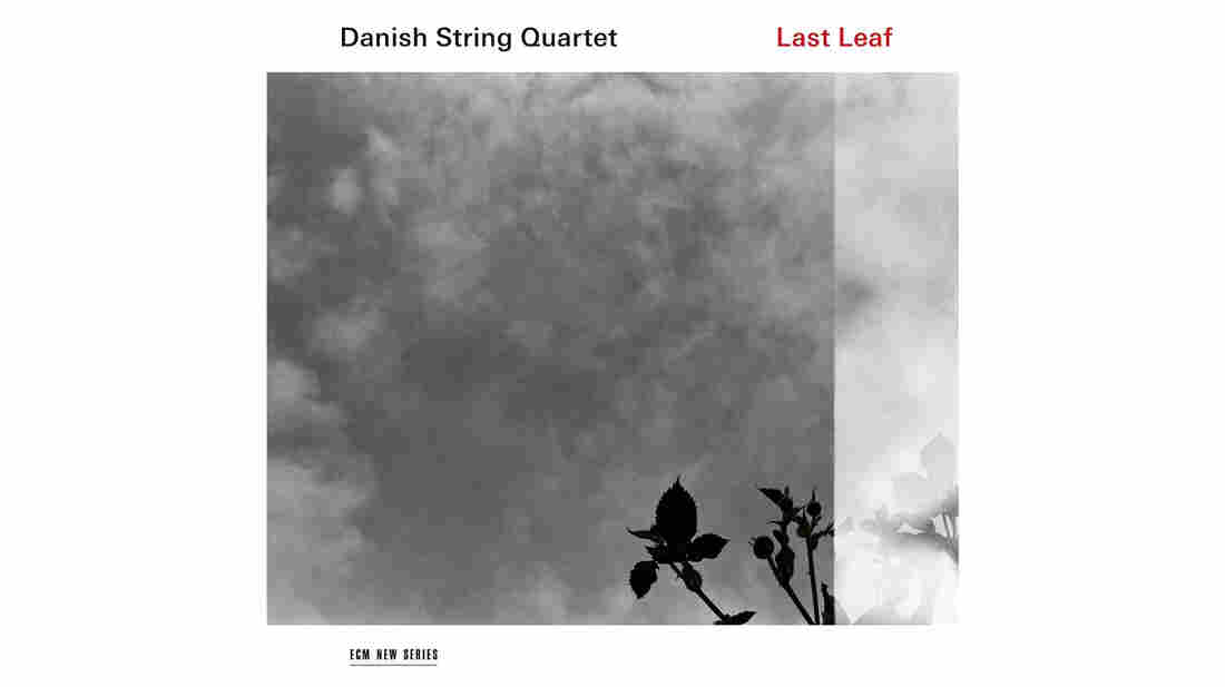Danish String Quartet, Last Leaf