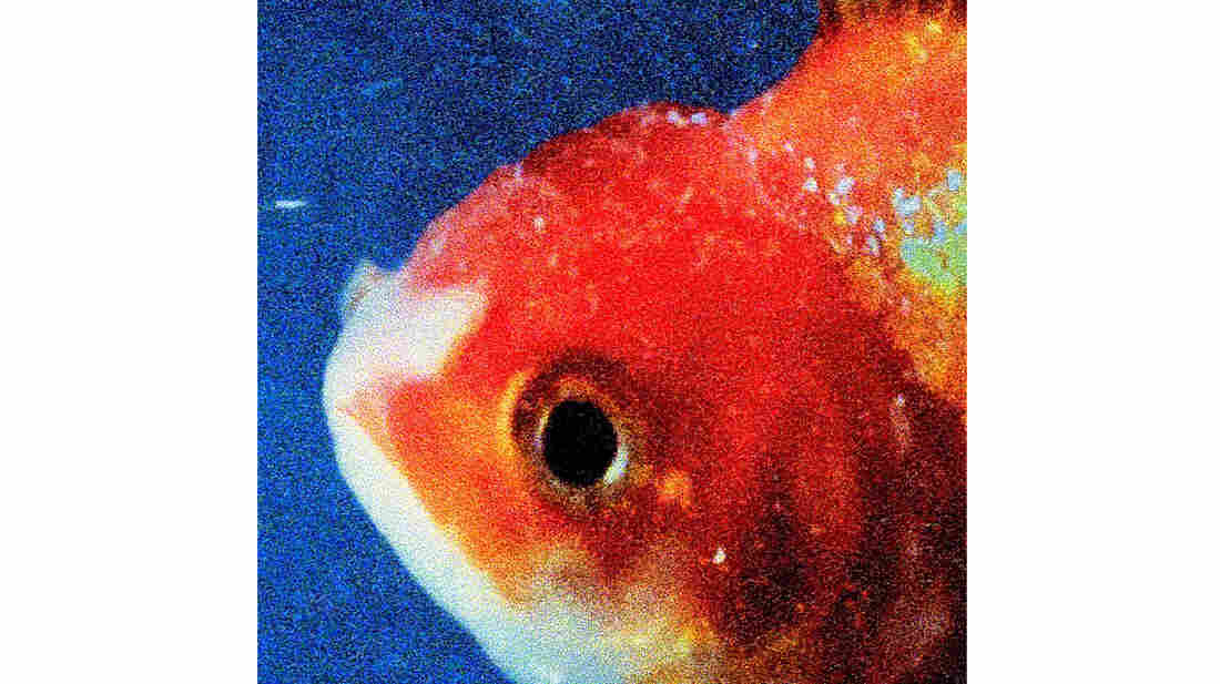 Vince Staples, Big Fish Theory