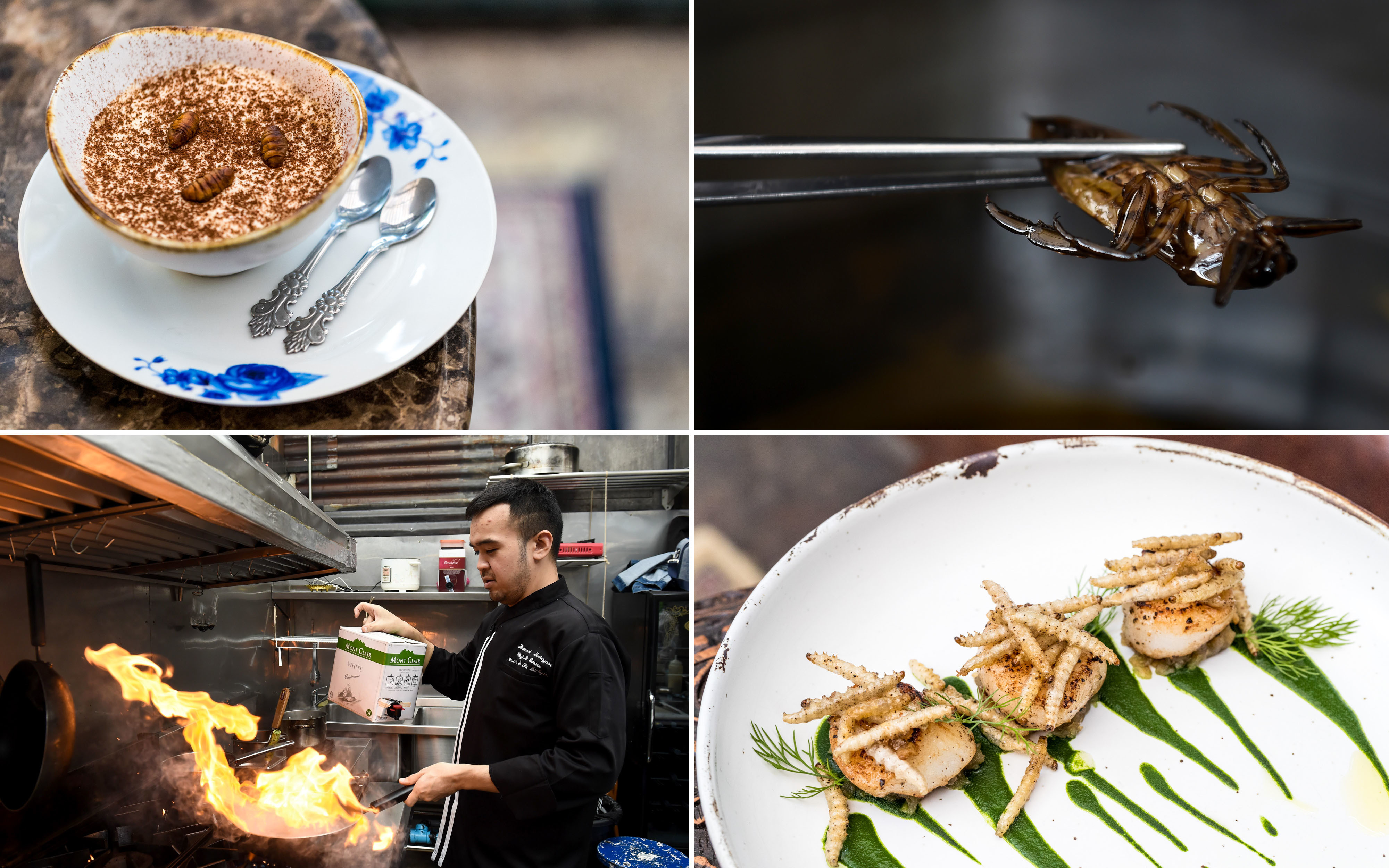 It's Not Just A Bug, It's A FineDining Feature At This Thailand