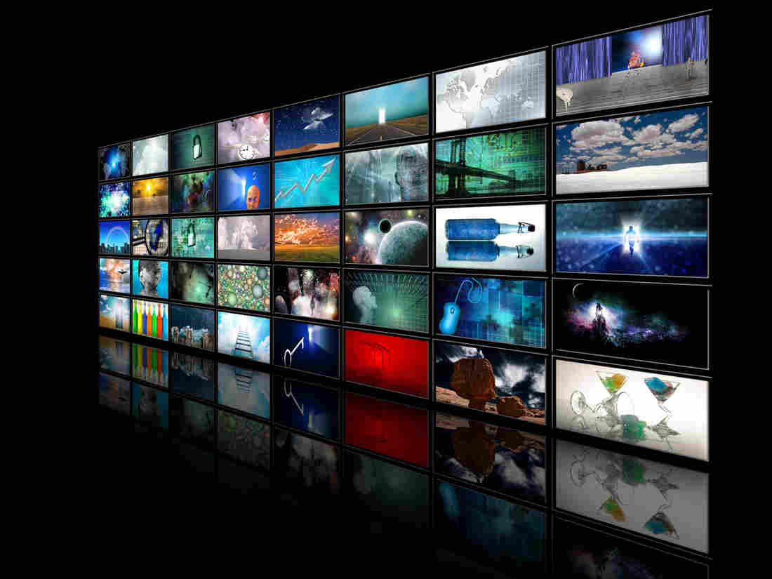 Barbara J. King recounts her participation in an event to help TV and film producers create more accurate products.
