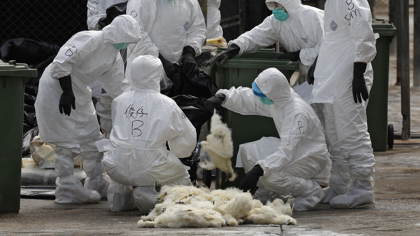 Dont Be The Next Victim Protect Your Horse From Deadly Viruses In Kansas - 3zmcfha