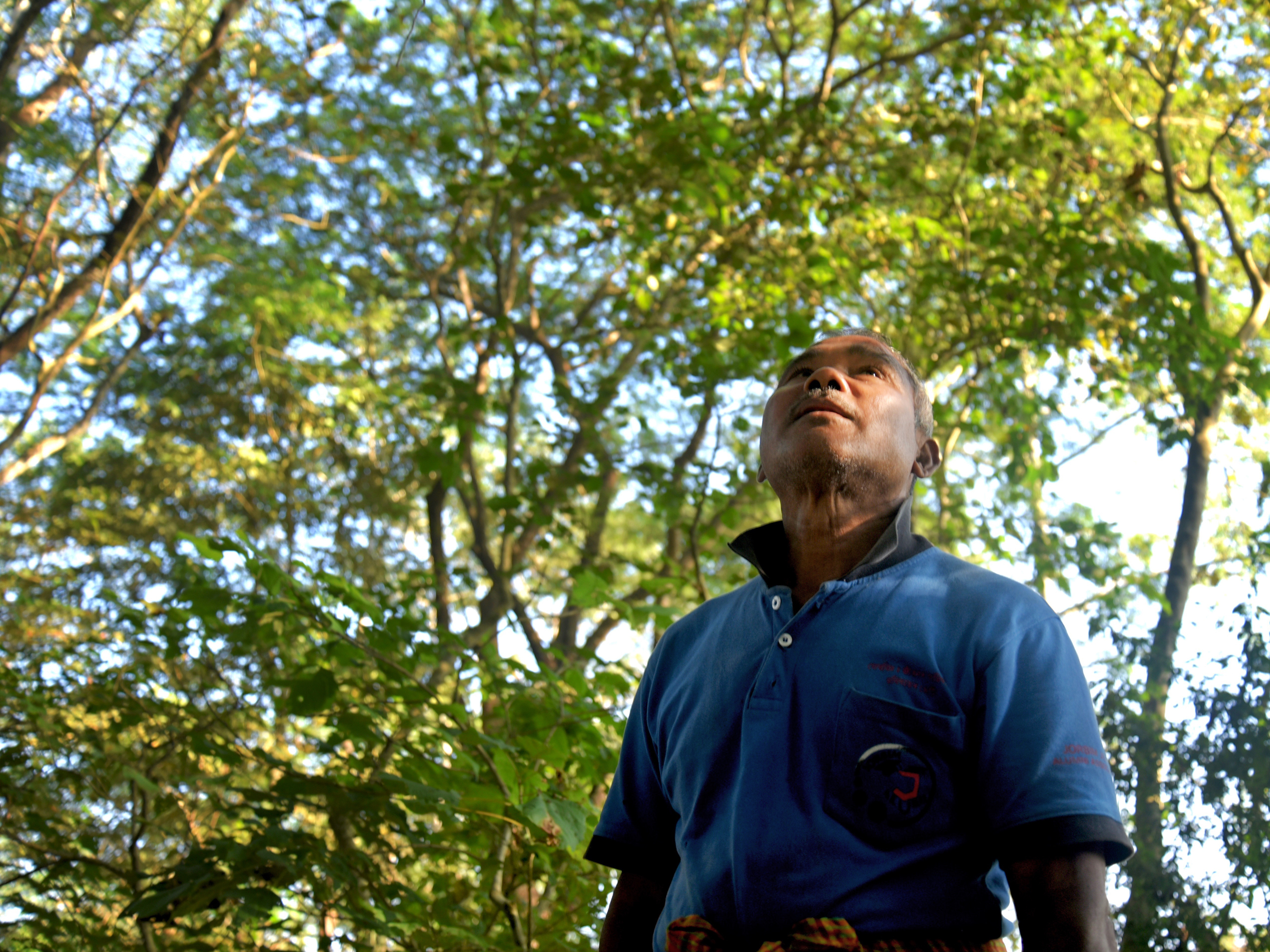 A Lifetime Of Planting Trees On A Remote River Island: Meet India's ...