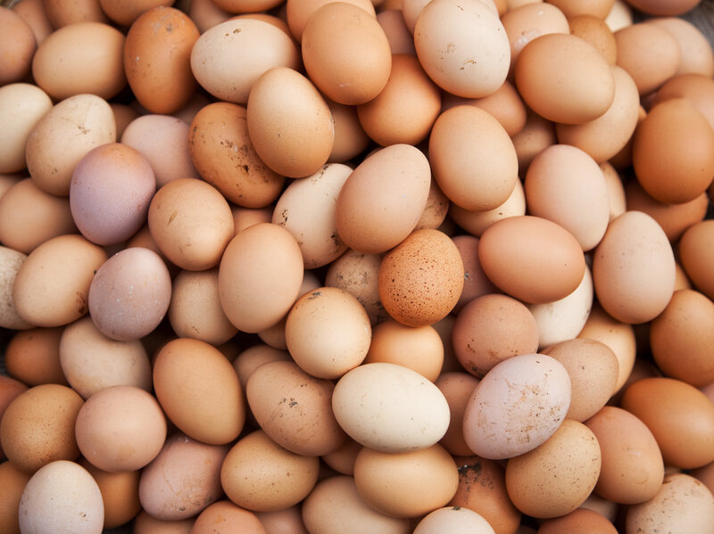 you ll be shelling