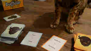 Fighting Bias With Board Games